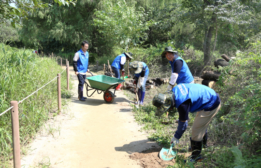 지난 1일 신한투자증권 임직원들이 서울 여의도 샛강생태공원 산책로를 보수하고 있다. 신한투자증권 제공.
